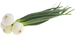 Lök Gul