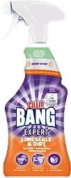 Kalkborttagning Spray 500ml Cillit Bang