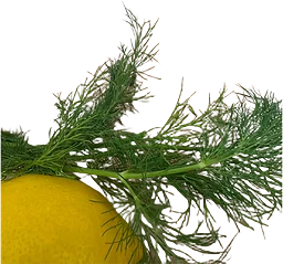 Havskattsfilé ca 200g