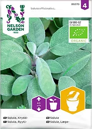 Salvia Krydd Organic 1-p Nelson Garden