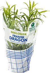 Fransk Dragon Ekologisk 1-p Kabbarps Trädgård