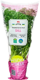 Dill i kruka ca 30g ICA