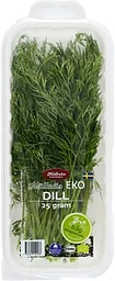 Dill EKO 25g Hällnäs Handelsträdgård Klass 1 ICA