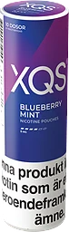 Xqs Blueberry Mint Str