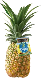 Ananas Chiquita ca 1,1kg Klass 1
