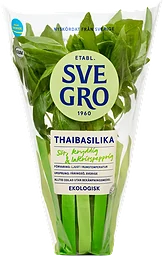 Thaibasilika i kruka Ekologisk 1-p KRAV Svegro