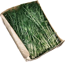 Gröna ärtskott 100g KRAV Klass 1