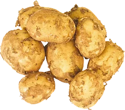 Färskpotatis Otvättad ca 1kg ICA Kvantum Lerum