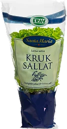 Sallat Grön Eko Kruka