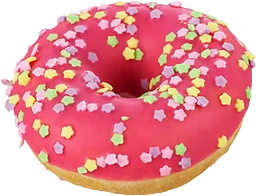 Donut Mini Pink Multicolor Flowers