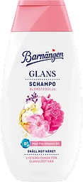 Schampo Glans