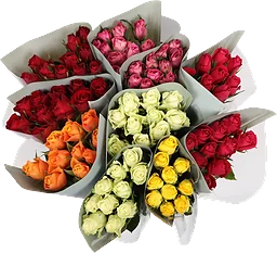ICA Rosor 10 pack 50 cm Fairtrade mix