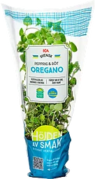 Oregano vertikalodlad 1-p Klass 1 ICA
