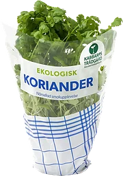 Koriander Ekologisk 1-p Kabbarps Trädgård