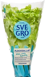 Plocksallat Kruka 1-p KRAV Svegro