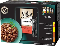 Kattmat Utvalda Delikatesser 12-p