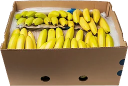 Eko Banankartong 18,3 kg
