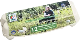 Ägg Ekologiska12-p KRAV Torggummans Ägg