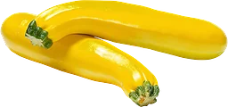 Zucchini Gul