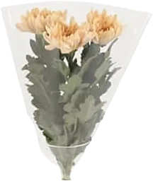 Singelkrysantemum 3-p 50cm varierande färger