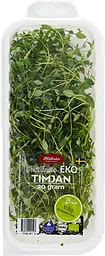 Timjan EKO 20g Hällnäs Handelsträdgård