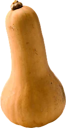 Pumpa Butternut ca 700g Klass 1 ICA
