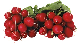 Rädisa 300 gr