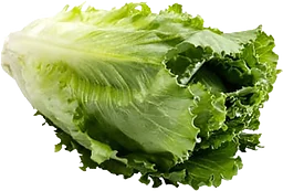 Sallad Cosmopolitan Klass 1