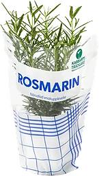 Rosmarin 1-p Kabbarps Trädgård
