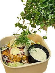 Ceasarsallad