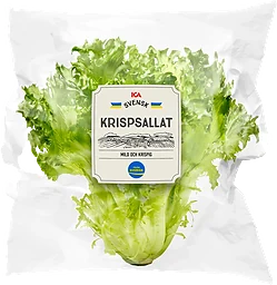 Krispsallat 150 Gram Klass 1 ICA