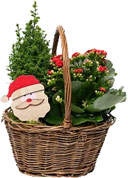 Grepkorg Tomte