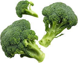 Broccoli