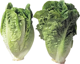 Babysallad