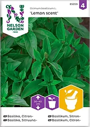 Basilika Citron Lemon Scent 1-p Nelson Garden