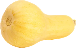 Pumpa Butternut Eko  
