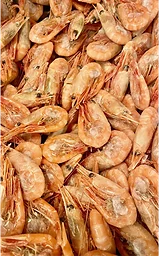 Frysta räkor i lösvikt ca500g 50/70