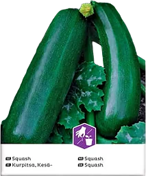 Squash Diamant F1 1-p Nelson Garden