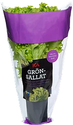 Grönsallat i kruka 1-p Klass 1 ICA