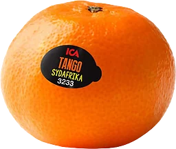 Småcitrus Tango ca Klass 1