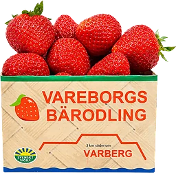 Jordgubbar Svenska 500g Vareborgs Bärodling