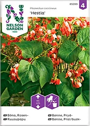 Böna Blomster Hestia 1-p Nelson Garden
