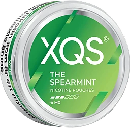XQS The Spearmint 6mg 15g