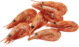 Räkor färska