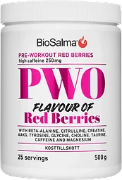 PWO Red Berries Pulver 500g BioSalma