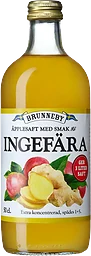 Äppelsaft Med Smak Av Ingefära 500ml Brunneby