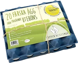 Ägg Frigående 20-p Skogens Ägg