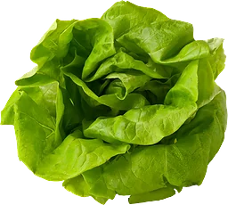 Huvudsallad ca 200g Klass 1 ICA