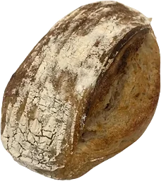 Levain