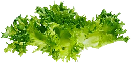 Sallat Crisp